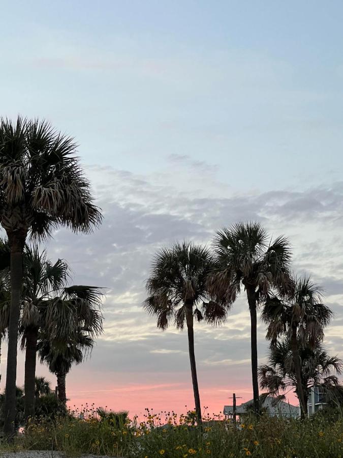 The Vista Of Palm *